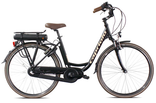Diana E-bike 